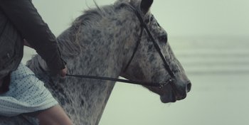 Movie still from “Mumford & Sons - Beloved” (2019), directed by Charlotte Regan – Extreme Close Up shot, Low angle