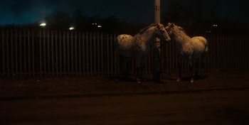 Movie still from “Mumford & Sons - Beloved” (2019), directed by Charlotte Regan – Wide shot, Low angle