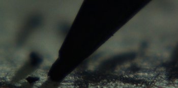 Movie still from “LCD Soundsystem - Oh Baby” (2019), directed by Rian Johnson – Extreme Close Up shot, Overhead angle