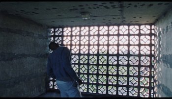 Movie still from “Bearcubs - Underwaterfall” (2018), directed by Salomon Ligthelm – Wide shot, High angle