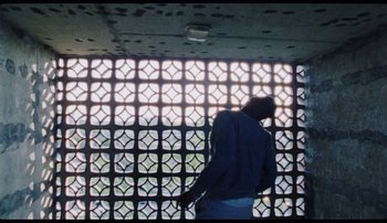 Movie still from “Bearcubs - Underwaterfall” (2018), directed by Salomon Ligthelm – Extreme Wide shot, Overhead angle