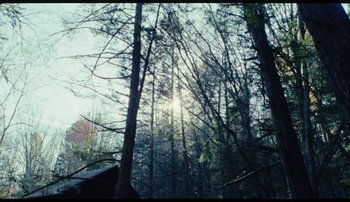 Movie still from “Bearcubs - Underwaterfall” (2018), directed by Salomon Ligthelm – Extreme Wide shot, High angle