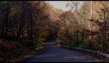 Movie still from “Bearcubs - Underwaterfall” (2018), directed by Salomon Ligthelm – Extreme Wide shot, High angle