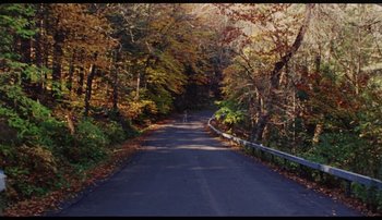 Movie still from “Bearcubs - Underwaterfall” (2018), directed by Salomon Ligthelm – Extreme Wide shot, High angle