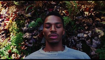 Movie still from “Bearcubs - Underwaterfall” (2018), directed by Salomon Ligthelm – Close Up shot, Overhead angle