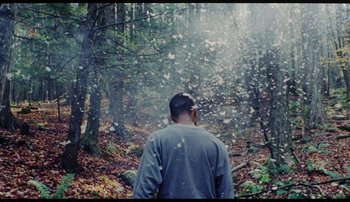 Movie still from “Bearcubs - Underwaterfall” (2018), directed by Salomon Ligthelm – Wide shot, High angle