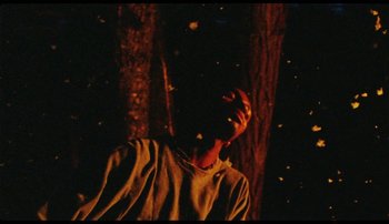 Movie still from “Bearcubs - Underwaterfall” (2018), directed by Salomon Ligthelm – Extreme Close Up shot, Low angle