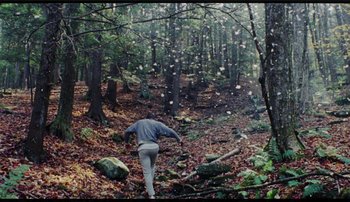 Movie still from “Bearcubs - Underwaterfall” (2018), directed by Salomon Ligthelm – Extreme Wide shot, High angle