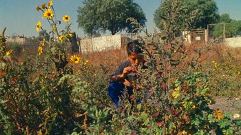 Movie still from “A.CHAL - Cuánto” (2018), directed by Dexter Navy – Wide shot, High angle