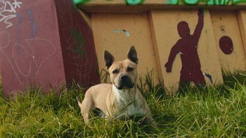 Movie still from “A.CHAL - Cuánto” (2018), directed by Dexter Navy – Medium shot, Low angle