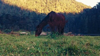 Movie still from “A.CHAL - Cuánto” (2018), directed by Dexter Navy – Extreme Wide shot, High angle