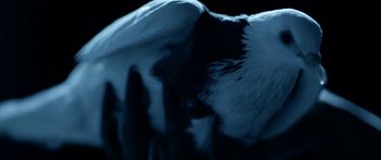 Movie still from “Bipolar Sunshine - Easy To Do” (2018), directed by Matilda Finn – Extreme Close Up shot, Overhead angle