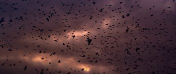 Movie still from “Bipolar Sunshine - Easy To Do” (2018), directed by Matilda Finn – Extreme Wide shot, High angle