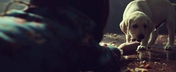 Movie still from “Harry Styles - Kiwi” (2017), directed by Us – Extreme Close Up shot, High angle