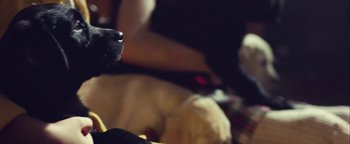 Movie still from “Harry Styles - Kiwi” (2017), directed by Us – Extreme Close Up shot, Low angle