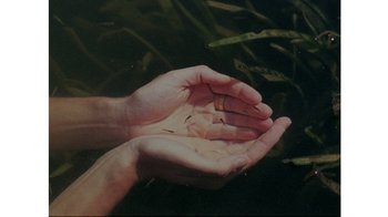 Movie still from “No World - Living Inc.” (2017), directed by Young Replicant – Extreme Close Up shot, Overhead angle