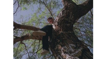 Movie still from “No World - Living Inc.” (2017), directed by Young Replicant – Wide shot, Overhead angle