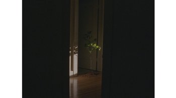 Movie still from “No World - Living Inc.” (2017), directed by Young Replicant – Wide shot, High angle