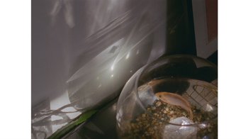 Movie still from “No World - Living Inc.” (2017), directed by Young Replicant – Extreme Close Up shot, High angle