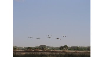 Movie still from “No World - Living Inc.” (2017), directed by Young Replicant – Extreme Wide shot, Low angle