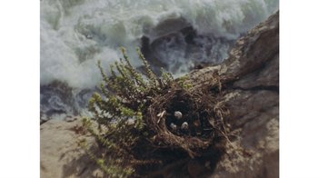 Movie still from “No World - Living Inc.” (2017), directed by Young Replicant – Extreme Close Up shot, Overhead angle