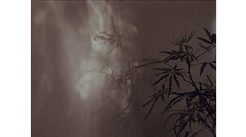 Movie still from “No World - Living Inc.” (2017), directed by Young Replicant – Extreme Close Up shot, Low angle