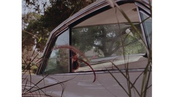 Movie still from “No World - Living Inc.” (2017), directed by Young Replicant – Extreme Close Up shot, Low angle