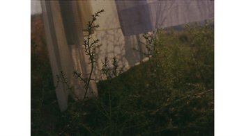 Movie still from “No World - Living Inc.” (2017), directed by Young Replicant – Extreme Close Up shot, Low angle