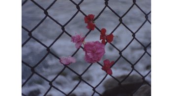 Movie still from “No World - Living Inc.” (2017), directed by Young Replicant – Extreme Close Up shot, Overhead angle