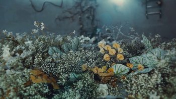 Movie still from “Alice Glass - Without Love” (2017), directed by Floria Sigismondi – Extreme Close Up shot, Overhead angle