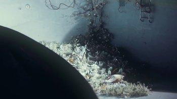 Movie still from “Alice Glass - Without Love” (2017), directed by Floria Sigismondi – Extreme Close Up shot, High angle