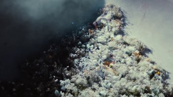 Movie still from “Alice Glass - Without Love” (2017), directed by Floria Sigismondi – Extreme Wide shot, Overhead angle