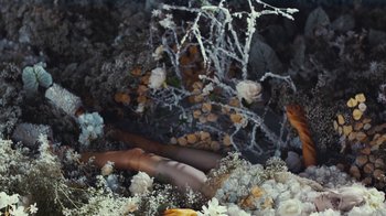 Movie still from “Alice Glass - Without Love” (2017), directed by Floria Sigismondi – Wide shot, Overhead angle