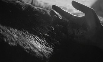 Movie still from “alt-J - 3WW” (2017), directed by Young Replicant – Extreme Close Up shot, Overhead angle