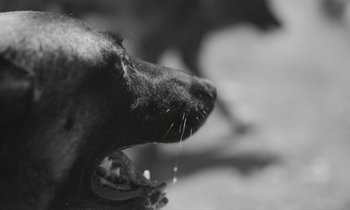 Movie still from “alt-J - 3WW” (2017), directed by Young Replicant – Extreme Close Up shot, Low angle