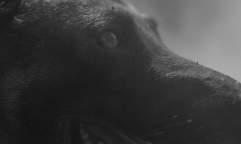 Movie still from “alt-J - 3WW” (2017), directed by Young Replicant – Extreme Close Up shot, Low angle