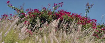 Movie still from “Young Thug - Wyclef Jean” (2017), directed by Ryan Staake – Extreme Wide shot, Low angle