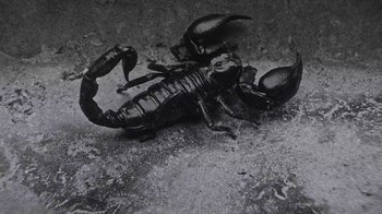 Movie still from “A$AP MOB - Moneyman” (2016), directed by Dexter Navy – Extreme Close Up shot, Overhead angle