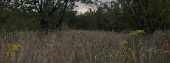 Movie still from “Purity Ring - Begin Again” (2016), directed by Young Replicant – Medium shot, Low angle