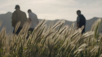 Movie still from “Cold Specks - Neuroplasticity” (2015), directed by Young Replicant – Wide shot, Low angle