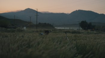 Movie still from “Cold Specks - Neuroplasticity” (2015), directed by Young Replicant – Extreme Wide shot, High angle