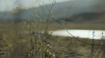 Movie still from “Cold Specks - Neuroplasticity” (2015), directed by Young Replicant – Extreme Wide shot, Low angle