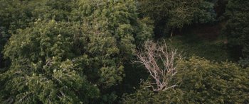 Movie still from “Alt-J - Hunger of the Pine” (2015), directed by Nabil Elderkin – Extreme Wide shot, Overhead angle