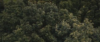 Movie still from “Alt-J - Hunger of the Pine” (2015), directed by Nabil Elderkin – Extreme Wide shot, Overhead angle