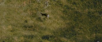 Movie still from “Alt-J - Hunger of the Pine” (2015), directed by Nabil Elderkin – Extreme Wide shot, Overhead angle