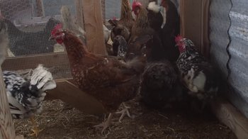 Movie still from “Natas Loves You - Got To Belong” (2014), directed by Larry Clark – Wide shot, High angle