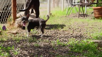 Movie still from “Natas Loves You - Got To Belong” (2014), directed by Larry Clark – Wide shot, High angle