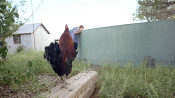Movie still from “Natas Loves You - Got To Belong” (2014), directed by Larry Clark – Wide shot, Low angle