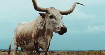 Movie still from “Alt-J - Left Hand Free” (2014), directed by Ryan Staake – Medium shot, Low angle