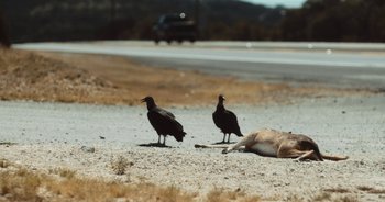 Movie still from “Alt-J - Left Hand Free” (2014), directed by Ryan Staake – Wide shot, High angle